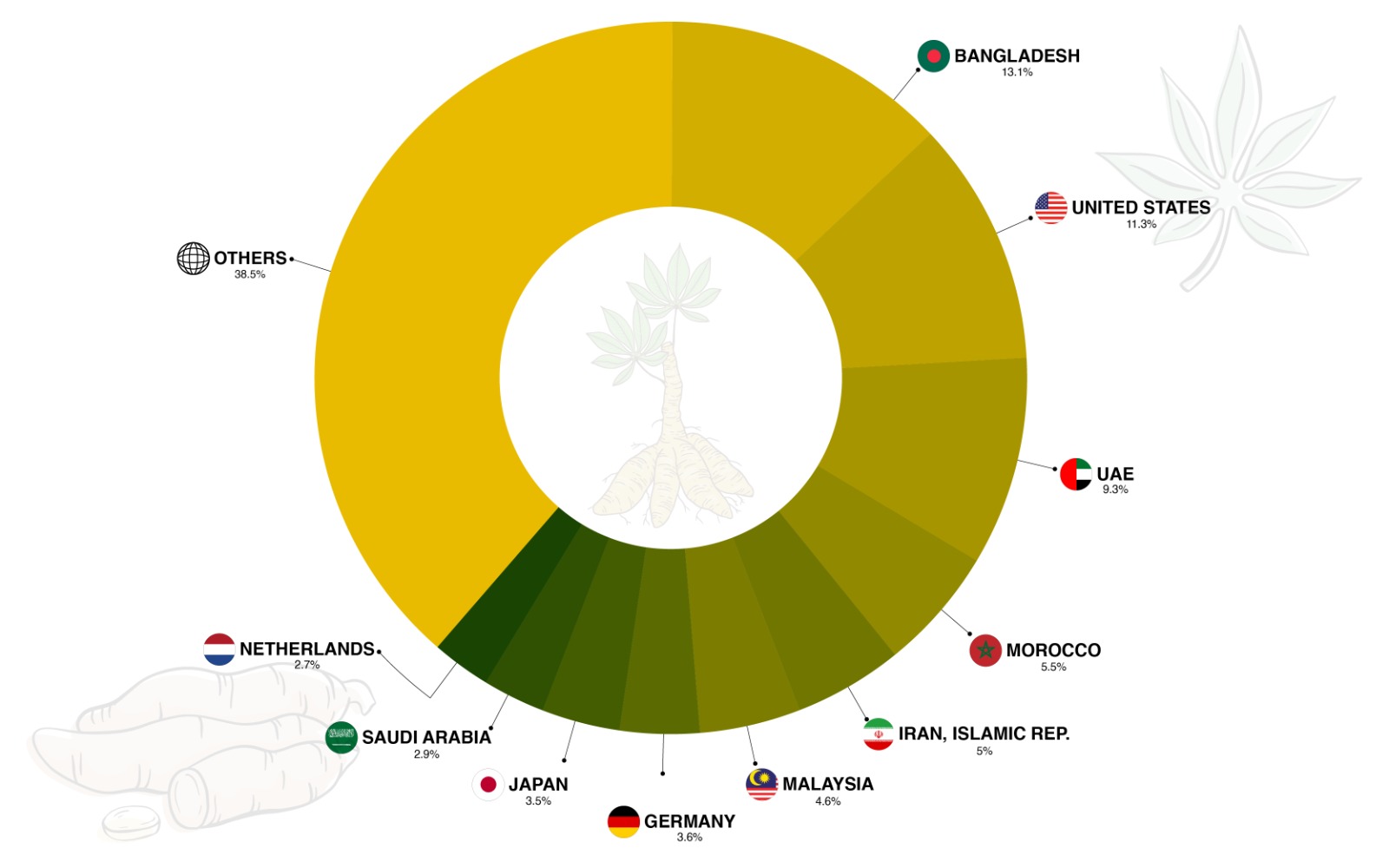 Spicing up the world: Turmeric's Journey from tradition to Global trend